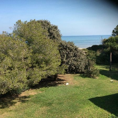 Entre Mer Et Piscine Hyères Exteriér fotografie
