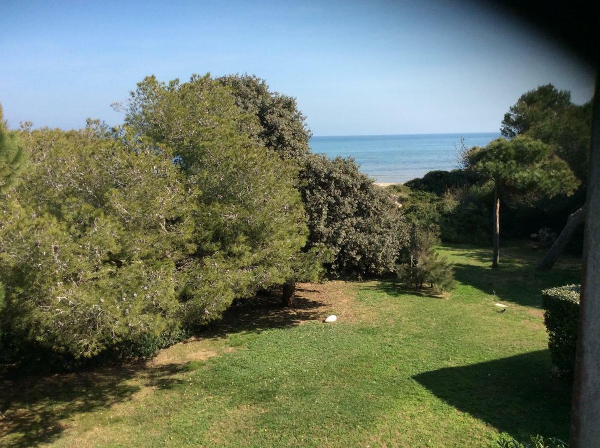 Entre Mer Et Piscine Hyères Exteriér fotografie