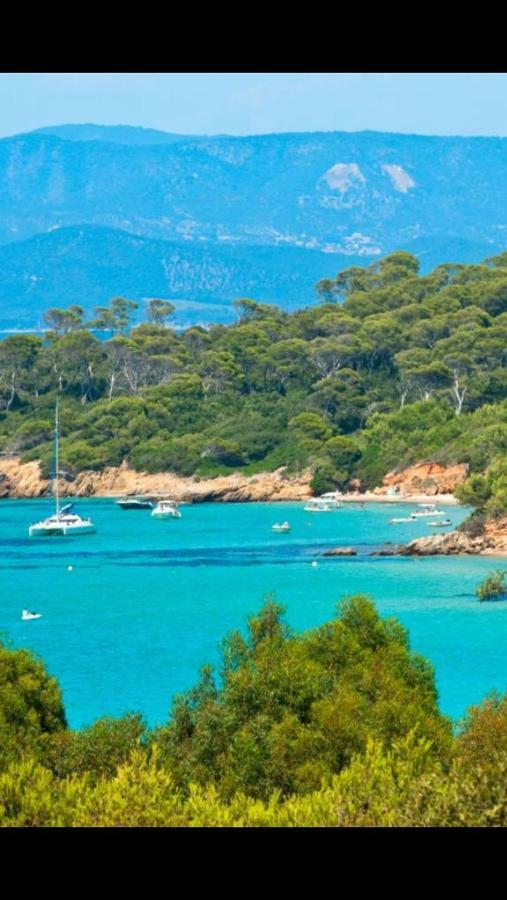 Entre Mer Et Piscine Hyères Exteriér fotografie